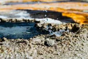 Art Appraisers Yellowstone, Wyoming