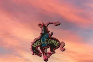 Jackson Antique Appraisers