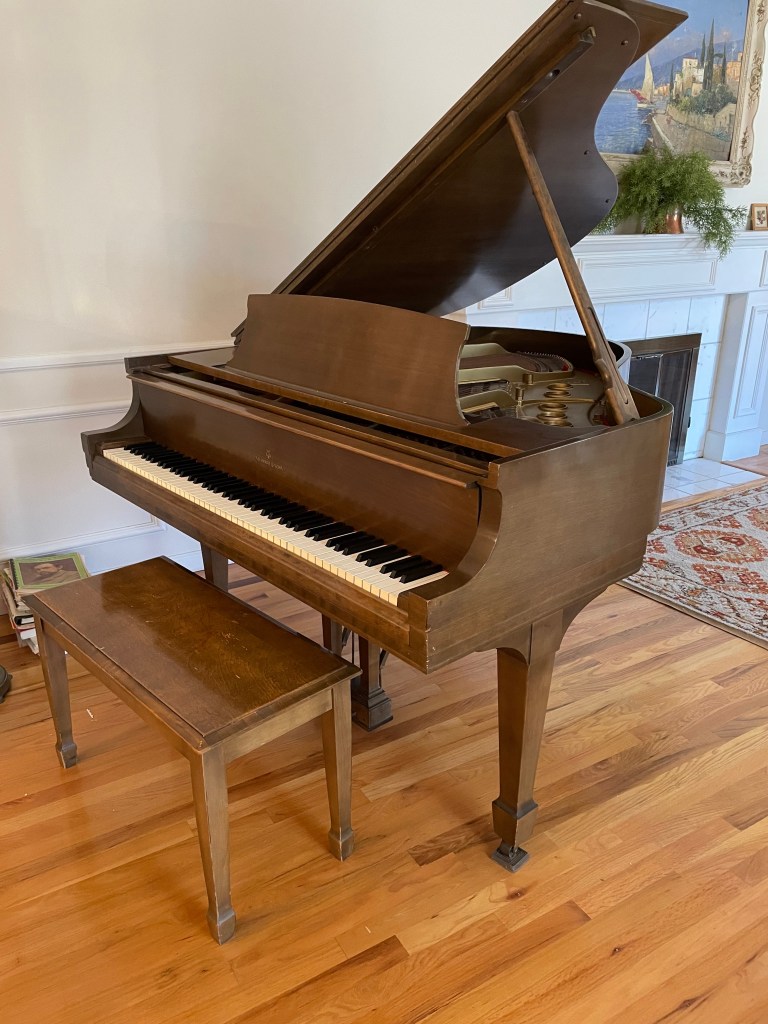 Photo Apr 09 2024, 12 09 47 PM