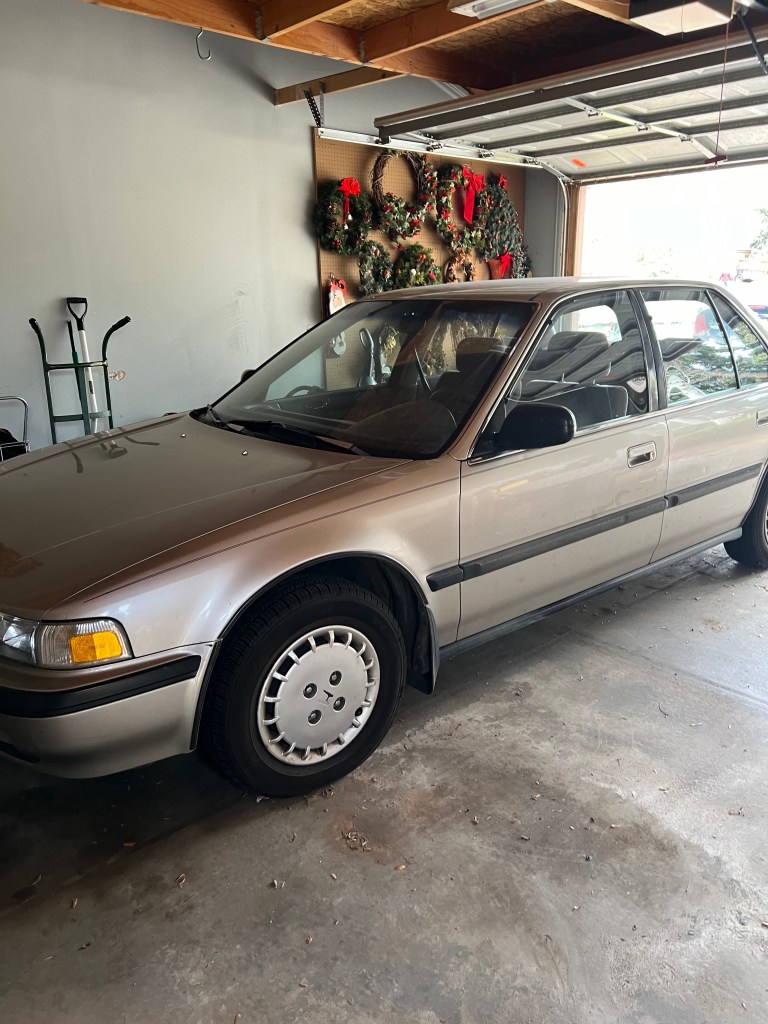 Photo Apr 10 2024, 11 49 23 AM (1)