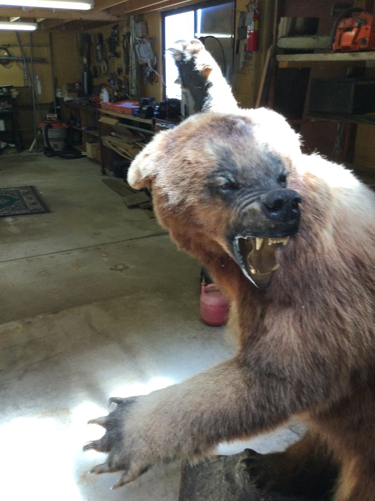 Photo Apr 30 2024, 12 40 14 PM