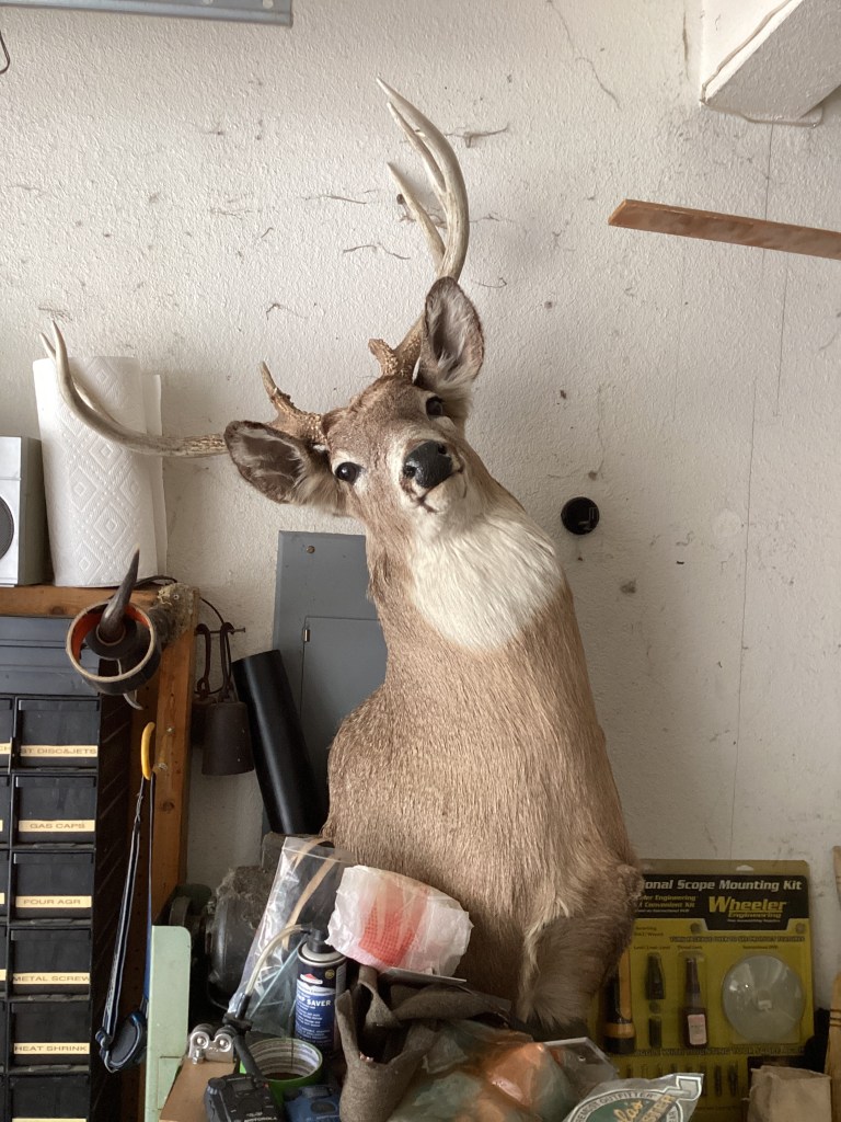 Photo Jun 19 2024, 8 38 56 AM