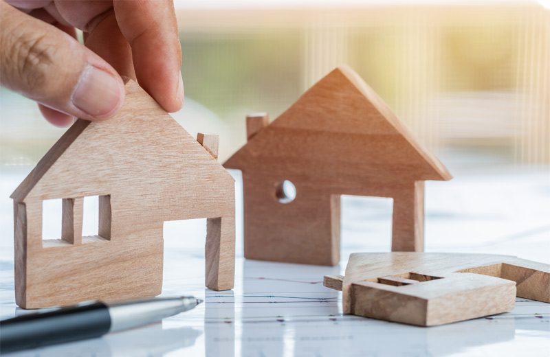 Collection-Management-image